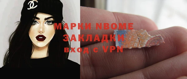 прущие грибы Дмитровск