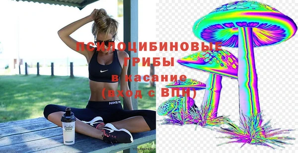 а пвп мука Абаза