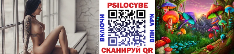 Псилоцибиновые грибы GOLDEN TEACHER  Новосиль 