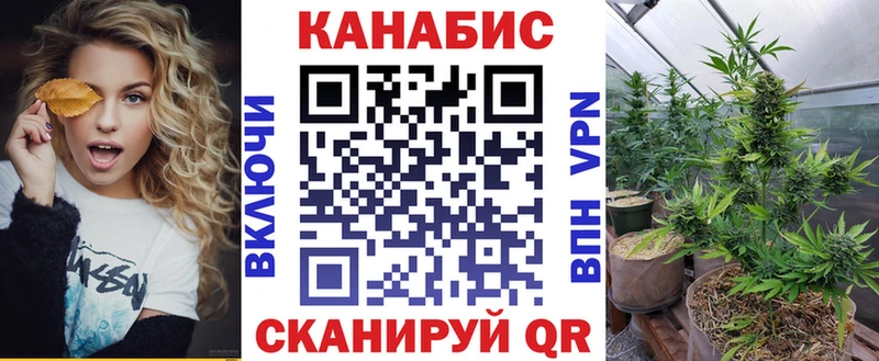 Шишки марихуана семена  купить  сайты  Новосиль 